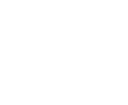 Evolution games at Palm Slots Casino